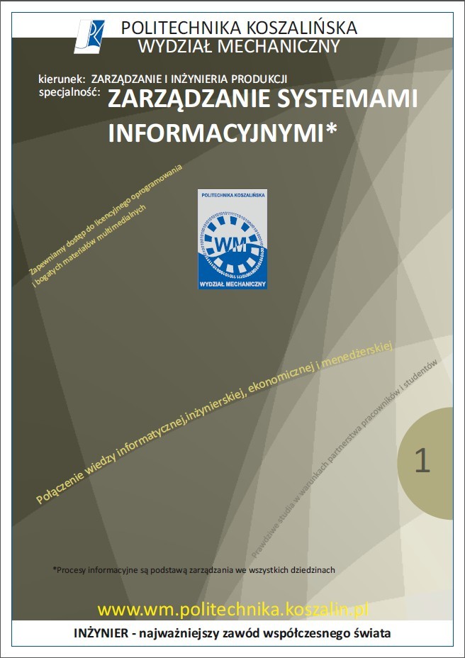 Folder informacyjny specjalności: Zarządzanie systemami informacyjnymi